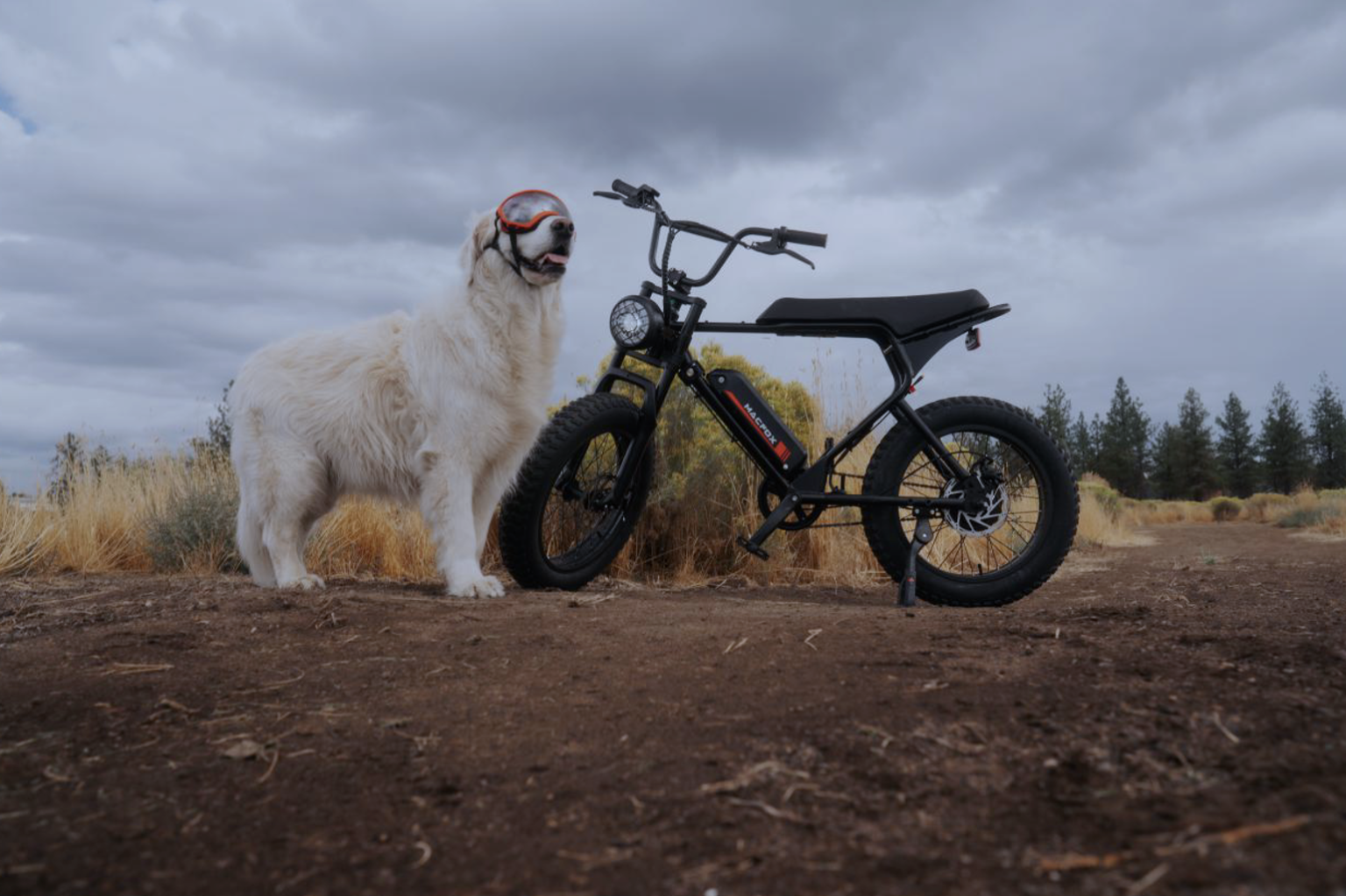 The Best Electric Fat Tire Bikes to Buy for 1,000 DC Fashion Week